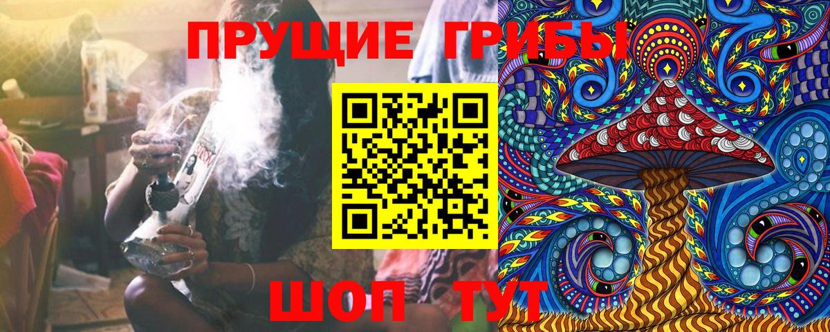 Псилоцибиновые грибы Cubensis Славянск-на-Кубани