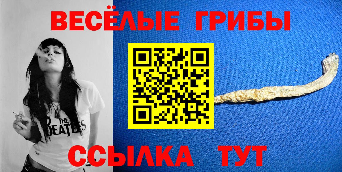 Славянск-на-Кубани  Псилоцибиновые грибы Psilocybine cubensis  Галлюциногенные грибы GOLDEN TEACHER  Вход с VPN 